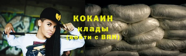 МДПВ Богородск