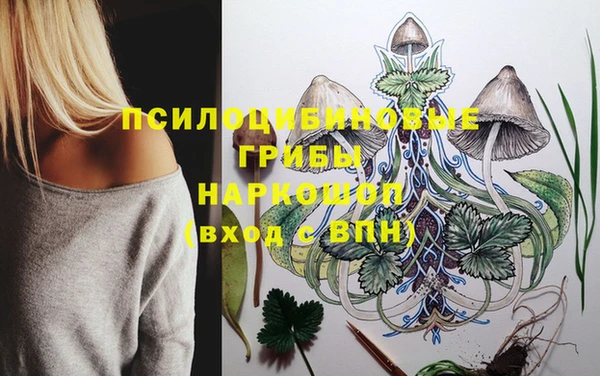 винт Белокуриха